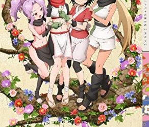[ANIME] くノ一ツバキの胸の内 其の七 (BDMV)