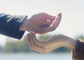 [Single] あたらよ (Atarayo) – 届く、未来へ [FLAC / WEB] [2023.04.13]