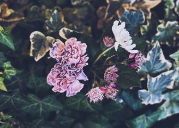 [Single] macico – slowdance [FLAC / WEB] [2022.10.26]