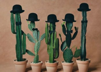 [Album] wacci – suits me! suits you! [FLAC / 24bit Lossless / WEB] [2022.11.09]