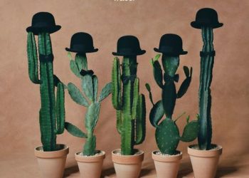 [Album] wacci – suits me! suits you! (2022.11.09/MP3/RAR)