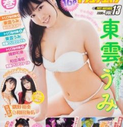 [雑誌] ヤングドラゴンエイジ VOL.13