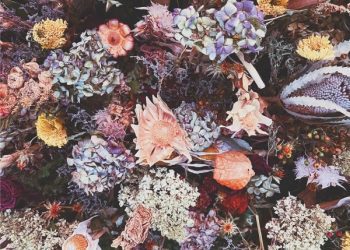 [Single] macico – grape [FLAC / WEB] [2022.11.30]