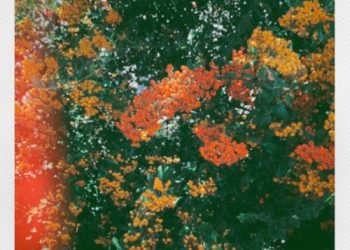 [Single] Somewhere – Sunrise [FLAC / WEB] [2022.10.19]