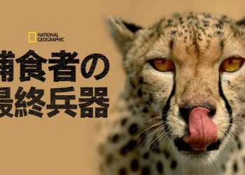 [ドラマ] 捕食者の最終兵器 第1シーズン 全6話 (2023) (WEBRIP)