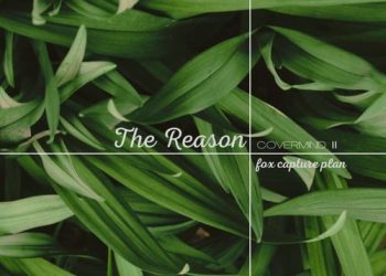 [Single] fox capture plan – THE REASON (2023.02.22/MP3/RAR)