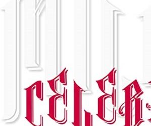 [TV-SHOW] 加藤ミリヤ – CELEBRATION TOUR 2018 (2018.11.21) (BDISO)