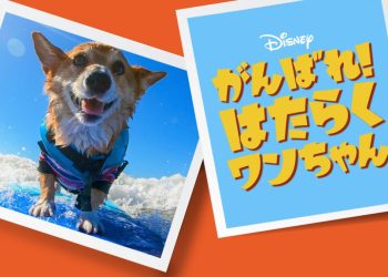 [ドラマ] がんばれ！ はたらくワンちゃん 第1シーズン 全10話 (2023) (WEBRIP)