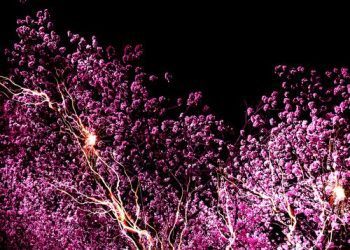 [Single] 神はサイコロを振らない – 修羅の巷 / Kami wa Saikoro wo Furanai – Shuranochimata (2023.04.30/MP3/RAR)